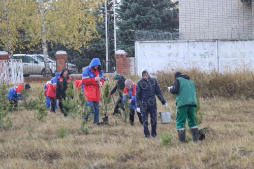 Нурлатцы деревья сажали вместе с министром