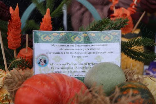 На фестивале в Нурлате представили самую большую тыкву весом более чем в 70 кг