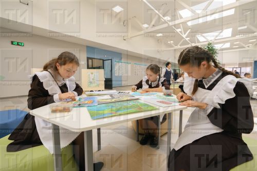 В России проходит онлайн-олимпиада для школьников по экологии и окружающему миру
