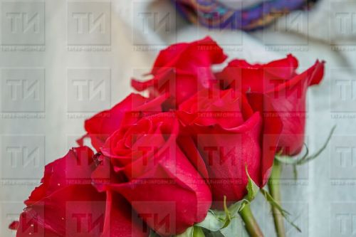 Опрос показал, что среди россиян снизилось число желающих отметить День святого Валентина
