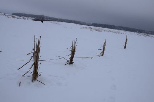 В охотхозяйстве «Восход» провели экологическую акцию «Рыбе – быть!»