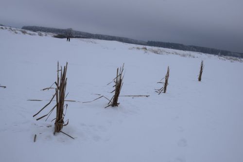 В охотхозяйстве «Восход» провели экологическую акцию «Рыбе – быть!»