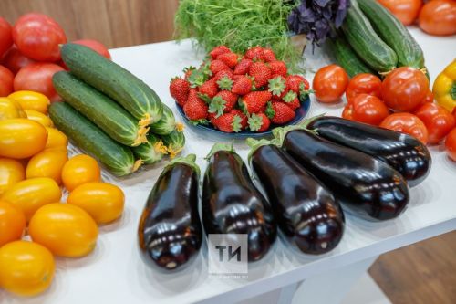 В Нурлатской ЦРБ проходит «Неделя популяризации потребления овощей и фруктов»