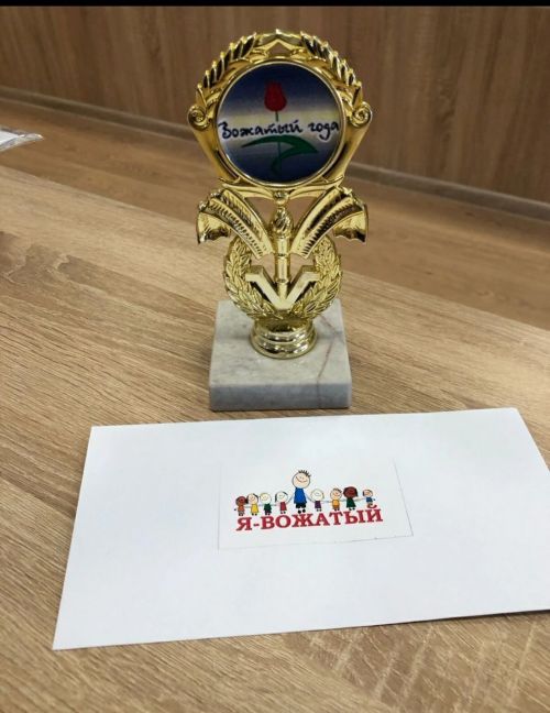 В Нурлате прошел муниципальный этап конкурса «Замечательный вожатый-2023»