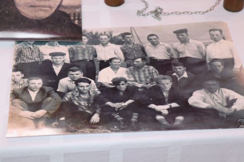 В Нурлате прошел фестиваль родословных