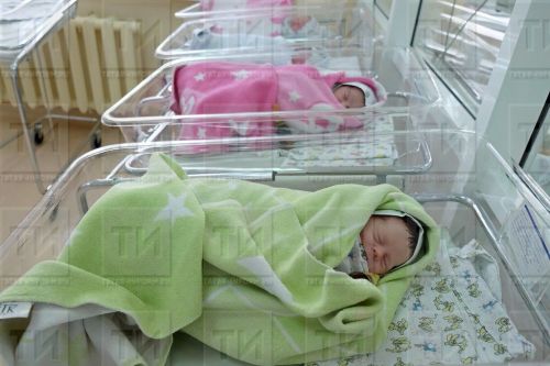 Какие основные выплаты могут получить семьи с детьми в 2023 году