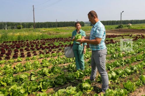 В Татарстане предлагают создать Управление по работе с садоводами