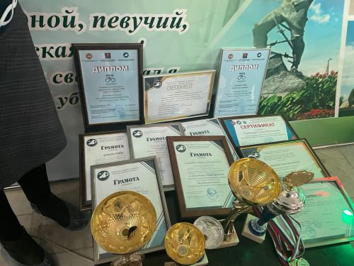 Вопросы безопасности детей на дорогах Нурлатского района обсудили на совещании руководителей отрядов ЮИД