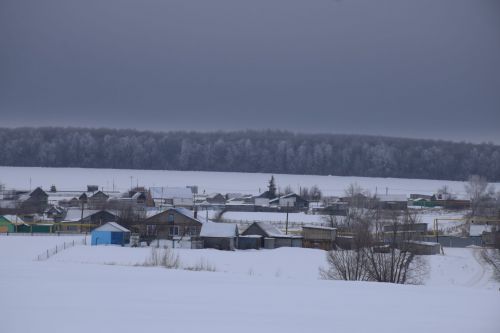 На территории Нурлатского района находится самое большое лесничество в Республике Татарстан