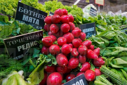 Как весной получить ранний урожай редиса и зелени