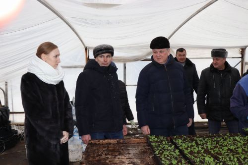 В Нурлате в тепличном комплексе приступили к пикировке рассады