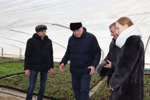 В Нурлате в тепличном комплексе приступили к пикировке рассады
