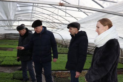 В Нурлате в тепличном комплексе приступили к пикировке рассады