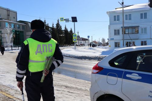 Накануне международного женского дня автоинспекторы района поздравили женщин-водителей с праздником
