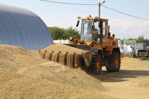 По объему производства сельхозпродукции Татарстан занял первое место в ПФО