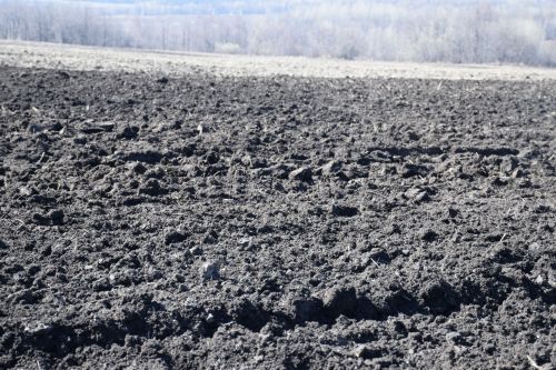В Нурлатском районе посевные работы набирают темп