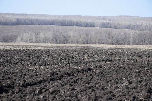 В Нурлатском районе посевные работы набирают темп