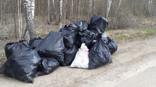 В лесах Татарстана с начала экологического двухмесячника ликвидировали 38 свалок