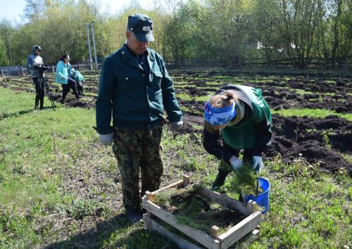 Нурлатцы разбили Сад памяти в Заречном