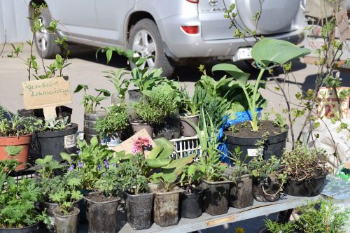 В Нурлате прошла очередная сельскохозяйственная ярмарка