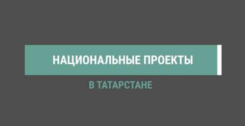 В Татарстане по нацпроекту стартуют новые круизы по Волге и авиарейсы в Сочи и Алтай