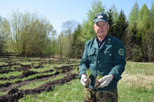 Нурлатцы разбили Сад памяти в Заречном