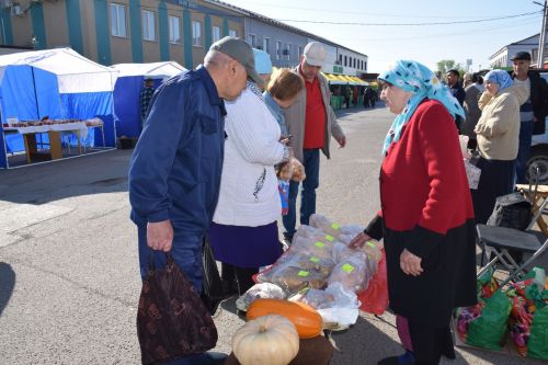 В Нурлате прошла очередная сельскохозяйственная ярмарка