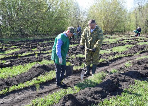 Нурлатцы разбили Сад памяти в Заречном