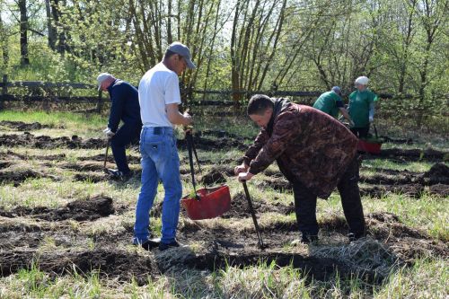 Нурлатцы разбили Сад памяти в Заречном