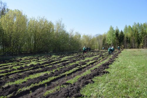 Нурлатцы разбили Сад памяти в Заречном