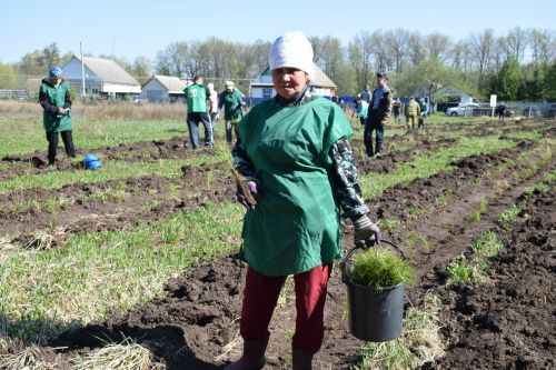 Нурлатцы разбили Сад памяти в Заречном
