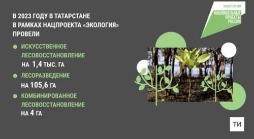 В Татарстане по нацпроекту «Экология» провели работы по воспроизводству лесов на 1523 га
