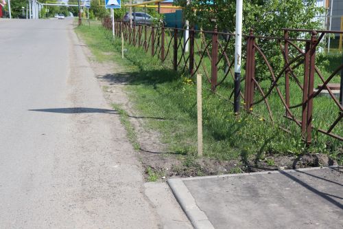 В микрорайоне сахароваров города Нурлат появятся новые тротуары