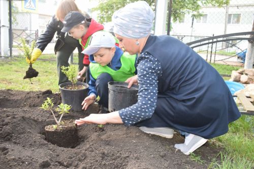 В детском саду «Алсу» города Нурлат заложили Аллею выпускников