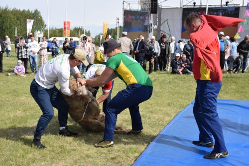 Абсолютным чемпионом Нурлатского Сабантуя стал Марсель Гузаеров