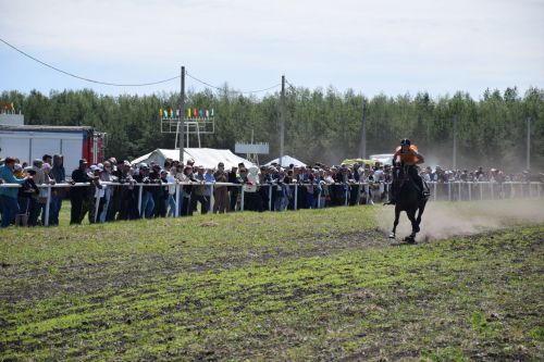 В Нурлате на конно-спортивных скачках приз «Сельские джигиты» завоевал 72-х летний Валерий Миронов