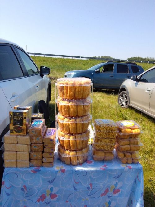 В деревне Светлое Озеро Нурлатского района возобновили традицию проведения Сабантуя