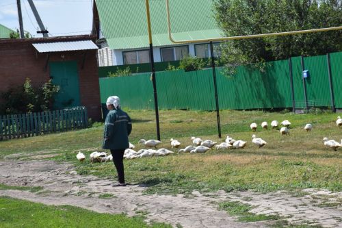 В микрорайоне Нижний Нурлат прошел День Ухи