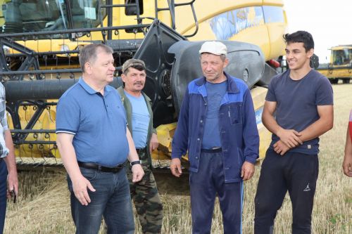 В КФХ «Сулейманов А.И.» приступили к уборке озимой пшеницы