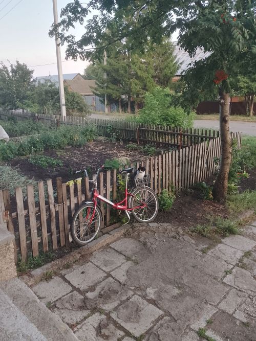Эльвира Галимова становится следующим участником конкурса фотографий «Улыбка лета»
