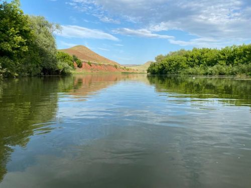 Камиль Шамсутдинов становится следующим участником фотоконкурса