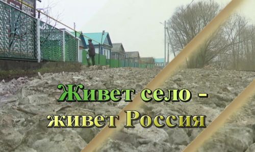 Хлеборобы хозяйства «Южная» работают с соблюдением всех требований агротехники