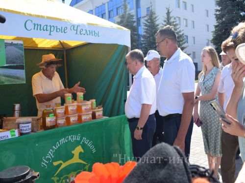 На центральной площади прошел третий фестиваль меда «Нурлатский мед»