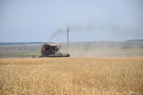 В КФХ “Сулейманов А.И.” наградили комбайнеров-двухтысячников
