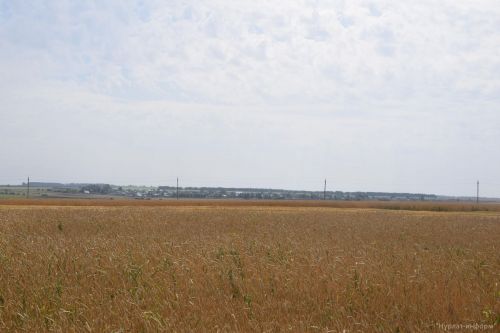 В КФХ “Сулейманов А.И.” наградили комбайнеров-двухтысячников