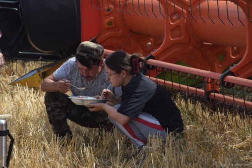 В КФХ “Сулейманов А.И.” наградили комбайнеров-двухтысячников