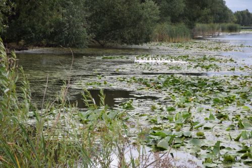 В деревне Кривое Озеро Нурлатского района торжественно открыли новый мост