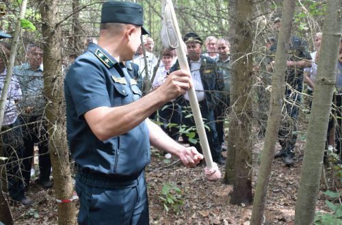 Лесничие Закамской зоны Татарстана искали в Нурлате способы борьбы с очагами непарного шелкопряда