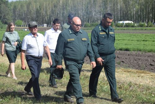 Лесничие Закамской зоны Татарстана искали в Нурлате способы борьбы с очагами непарного шелкопряда