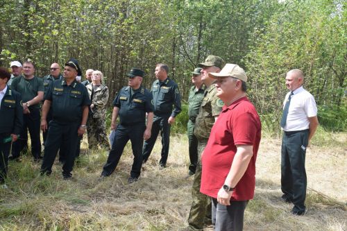 Лесничие Закамской зоны Татарстана искали в Нурлате способы борьбы с очагами непарного шелкопряда